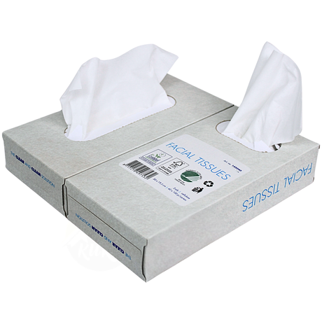 1000x Zakdoekjes, 2-laags tissue (10 x 100) papieren zakdoekjes, 20x20 cm, fsc en ecolabel - reinigingsdoekjes cellulose