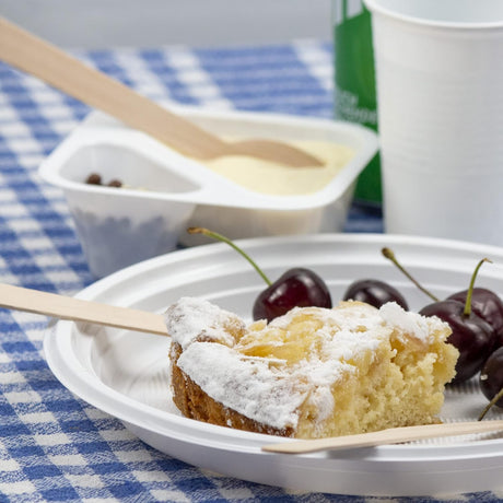 Plastplade Hvid 22 cm udelukket - 100 stykker inkl. Sup