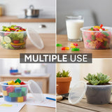 100x Magnetronbakjes inclusief deksels 500ml plastic potjes - vershoudbakjes Geschikt voor Take Away. Herbruikbaar en BPA Vrij